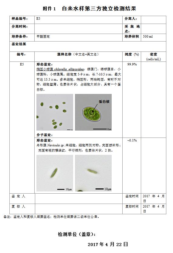 藻類(lèi)鑒定報(bào)告