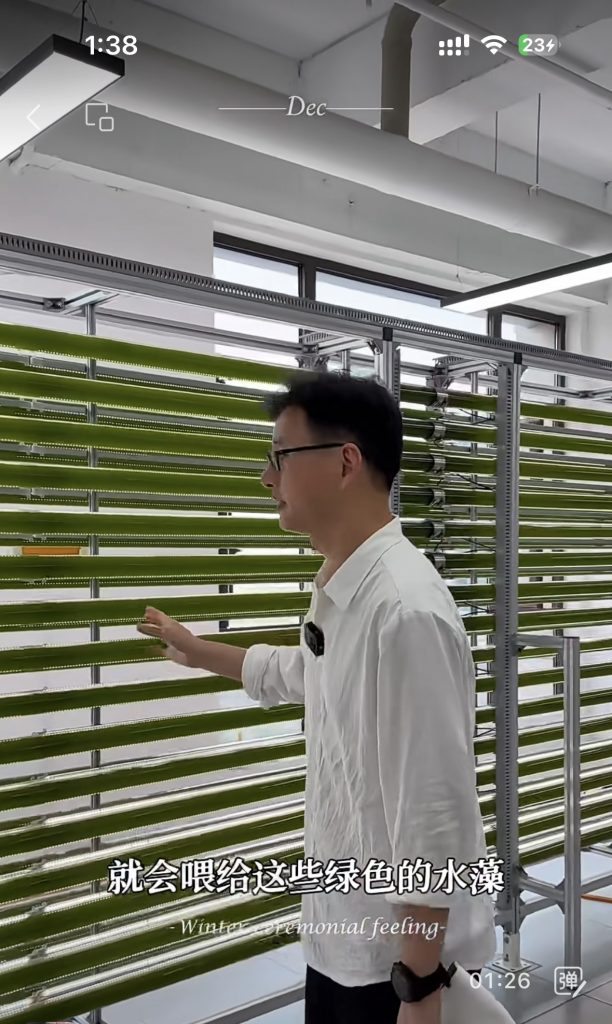 光語光反應器微藻處理廢水實際案例